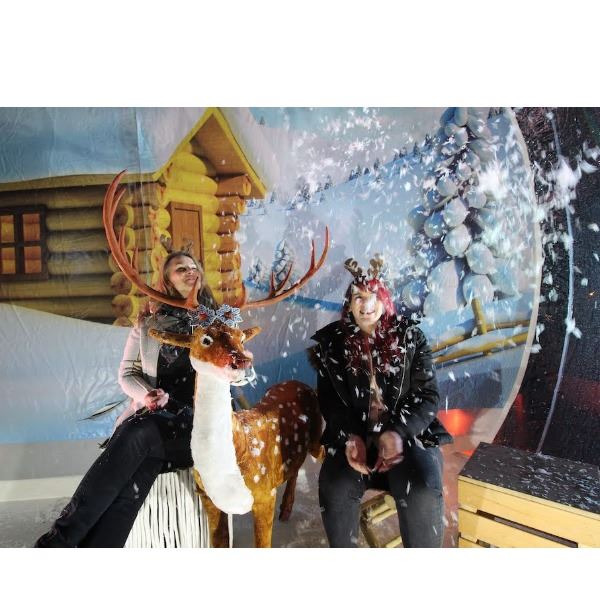 Snow Globe Snow Globe