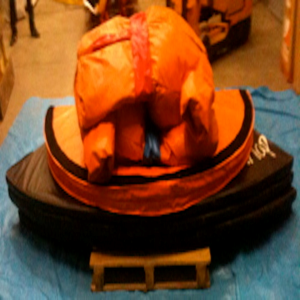 Sumoworstelen: Betreed de ring en versla je tegenstanders met kracht Afbeelding van sumoworstelen: Beleef de sensatie van sumoworstelen in deze attractie