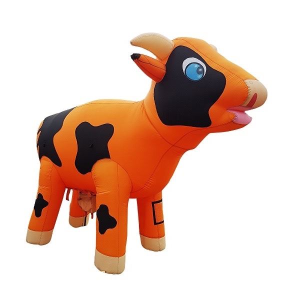 Ranja Koe Verhuur in Raalte - Happy Rent Ranja Koe beschikbaar voor verhuur in Raalte, Overijssel door Happy Rent, perfect voor kinderfeestjes en evenementen