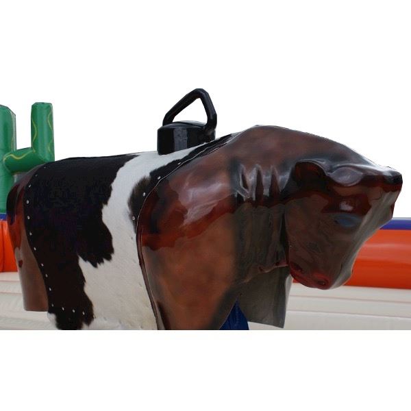 Rodeostier huren Overijssel Rodeostier huren Overijssel